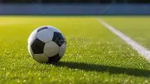 西哈姆解雇洛佩特吉，切尔西前教练波特接手教鞭